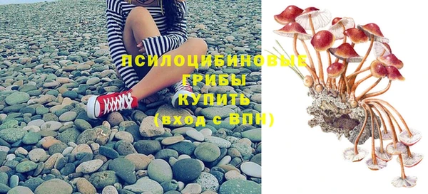 экстази Ельня