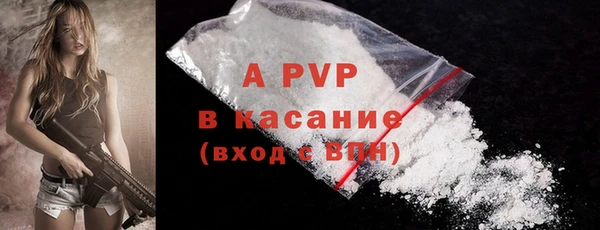 a pvp Щигры