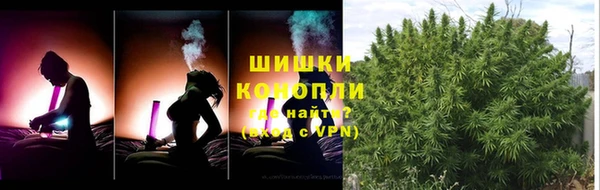 ГАЛЛЮЦИНОГЕННЫЕ ГРИБЫ Елабуга