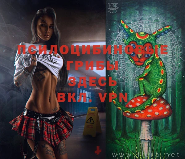 экстази Ельня