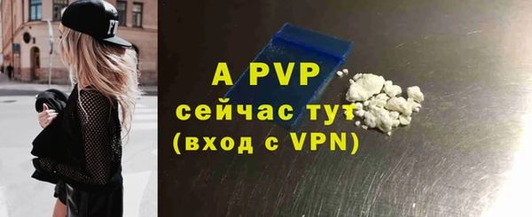 ГАЛЛЮЦИНОГЕННЫЕ ГРИБЫ Елабуга