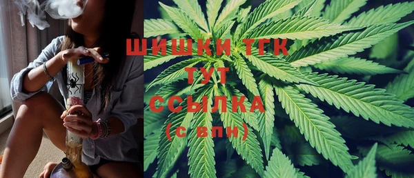 ГАЛЛЮЦИНОГЕННЫЕ ГРИБЫ Елабуга