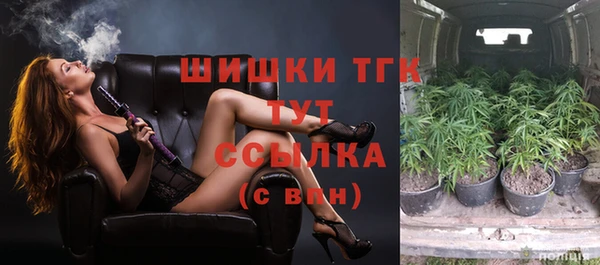 хмурый Елизово