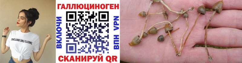 наркота  Каменка  Галлюциногенные грибы ЛСД 